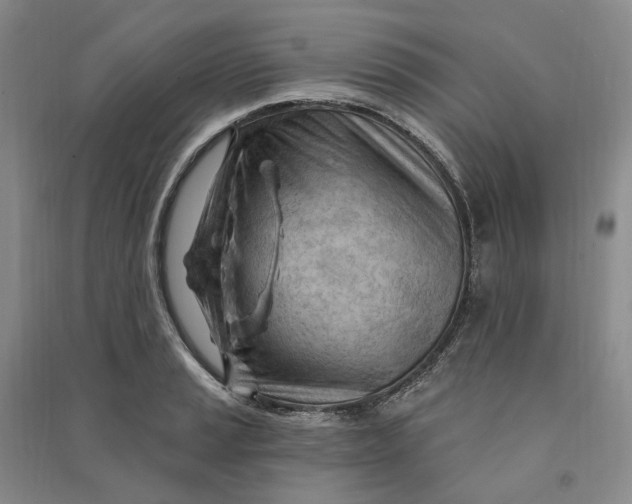 X0000090891037200708171701