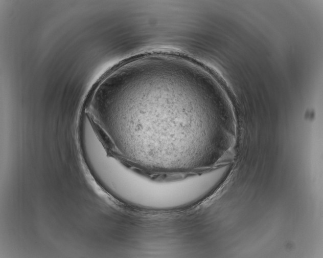 X0000090891038200708171701