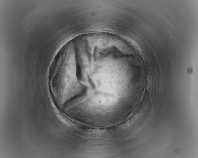 X0000090891039200708171701