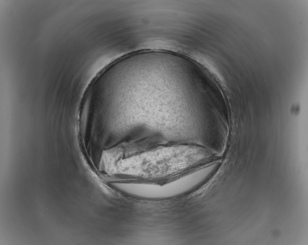 X0000090891040200708171701