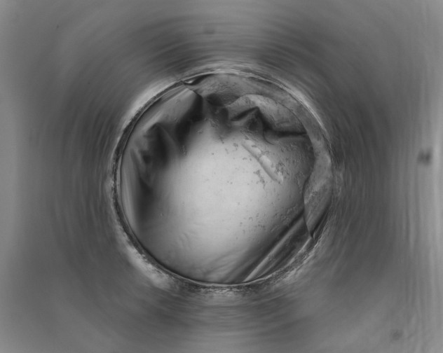 X0000090891042200708171701