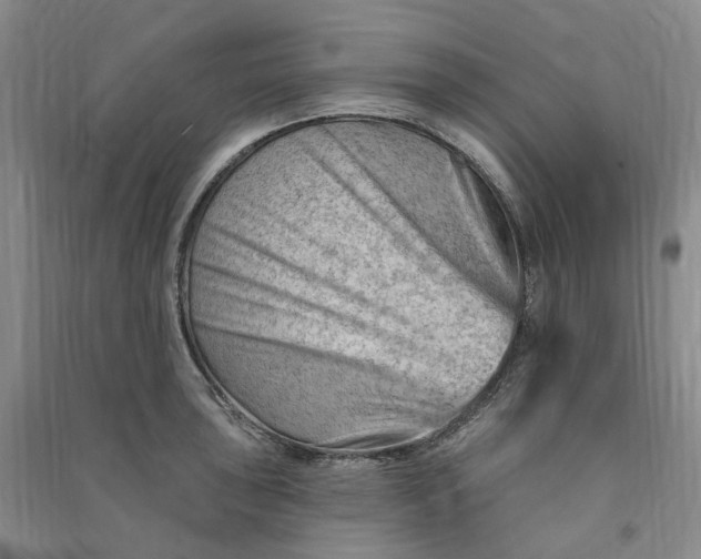 X0000090891043200708171701