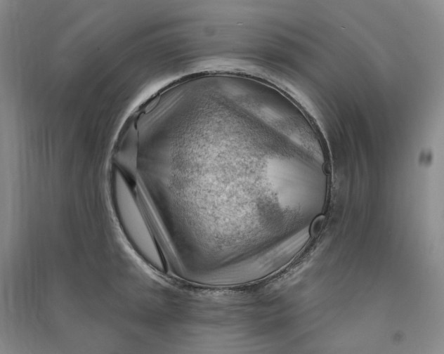 X0000090891045200708171701