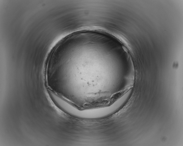 X0000090891046200708171702