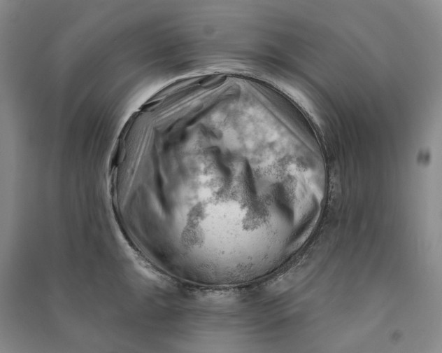 X0000090891047200708171702