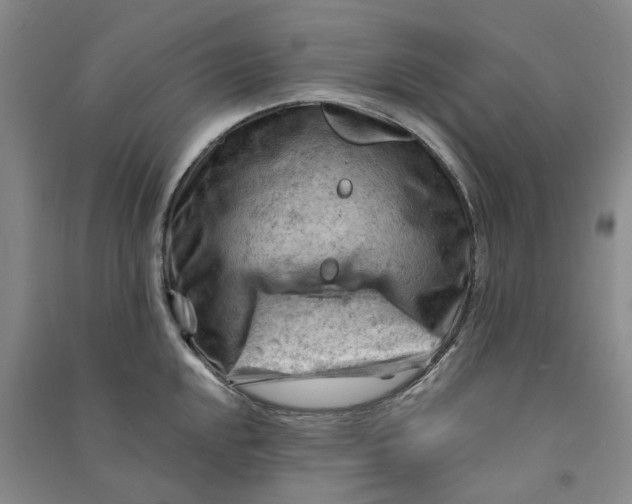 X0000090891048200708171702