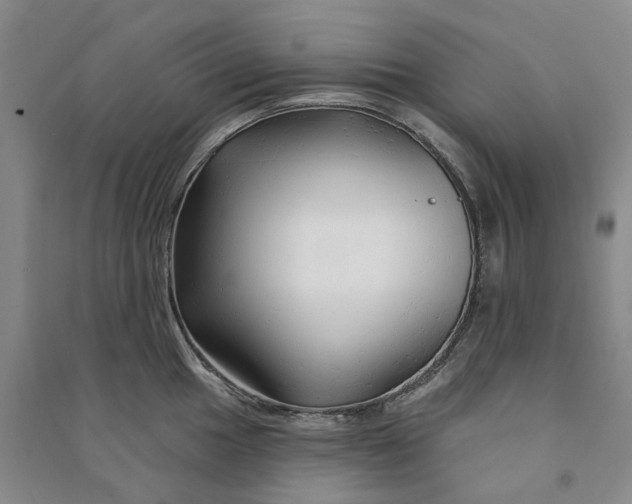 X0000090891049200708171702