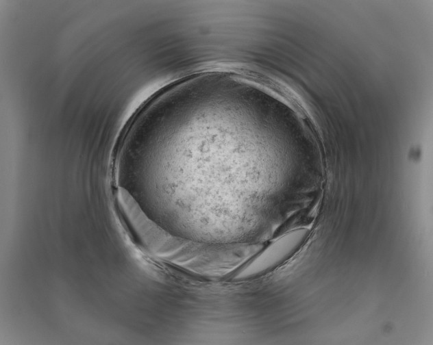 X0000090891050200708171702