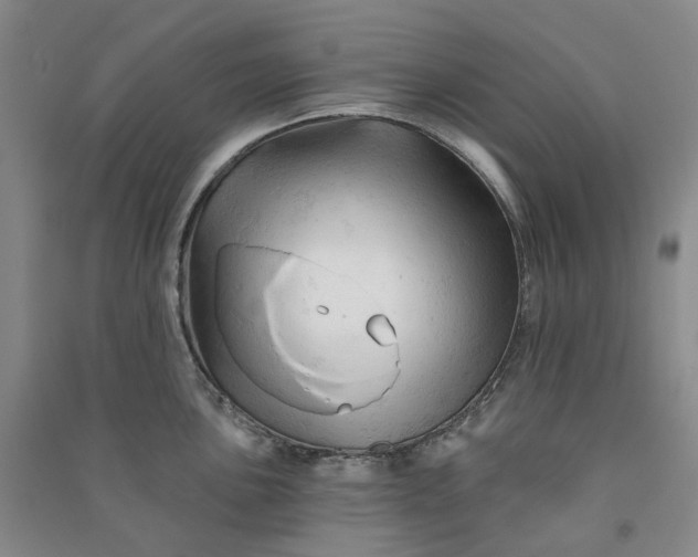 X0000090891051200708171702