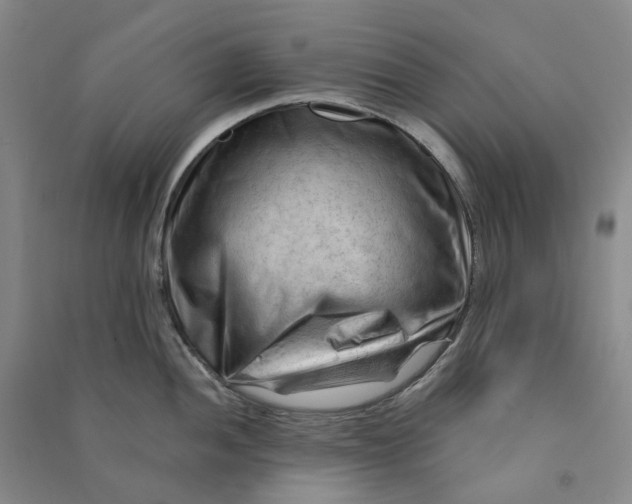 X0000090891052200708171702