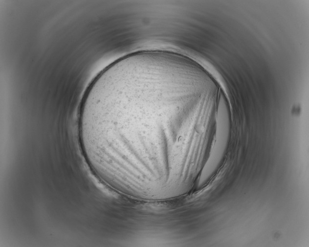 X0000090891053200708171702