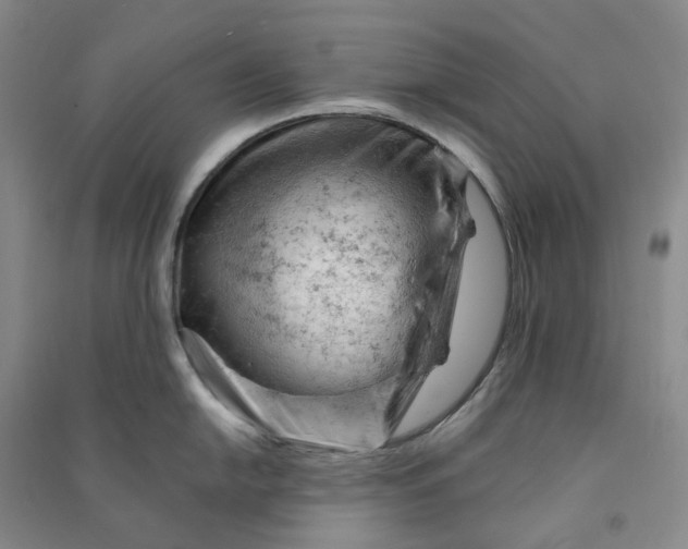 X0000090891054200708171702