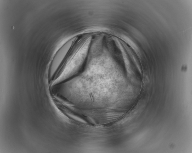 X0000090891055200708171702