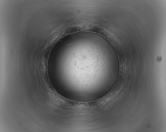 X0000090891058200708171701