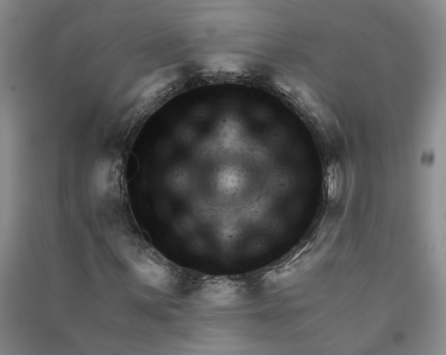 X0000090891059200708171701