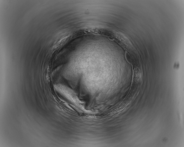 X0000090891060200708171701