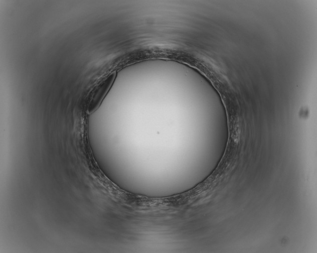 X0000090891061200708171701