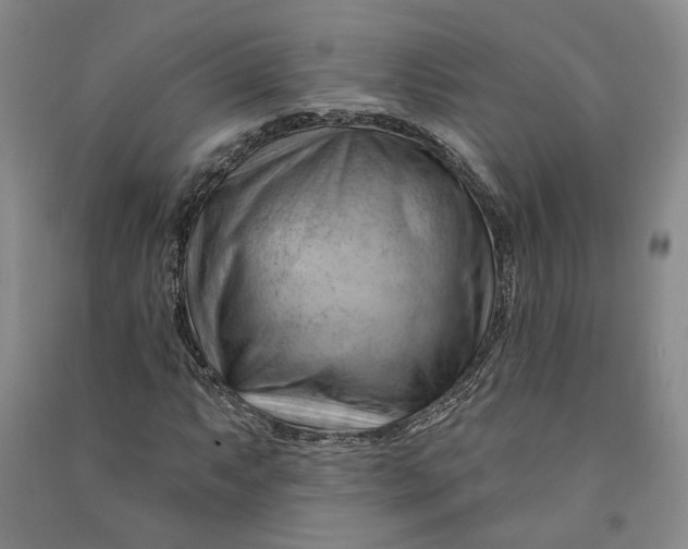 X0000090891063200708171701