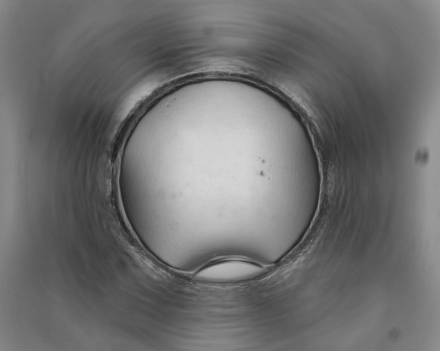 X0000090891067200708171701