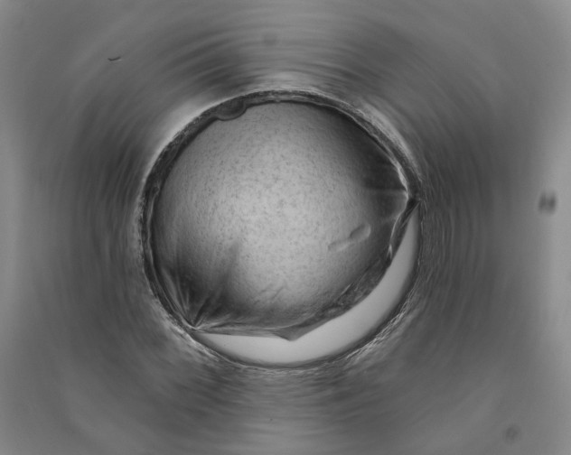 X0000090891068200708171701