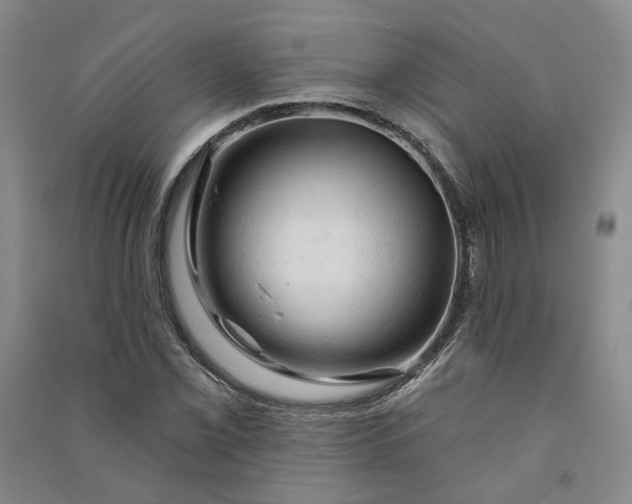 X0000090891069200708171701