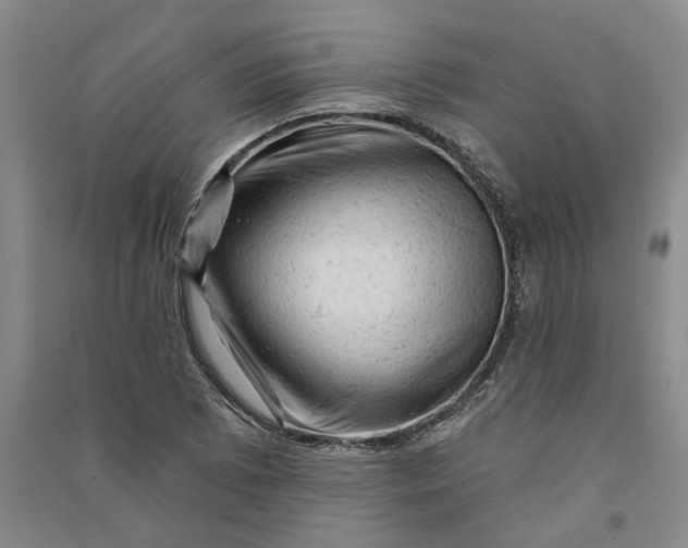 X0000090891073200708171701