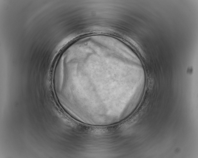 X0000090891074200708171701