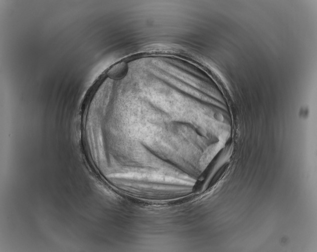 X0000090891075200708171701