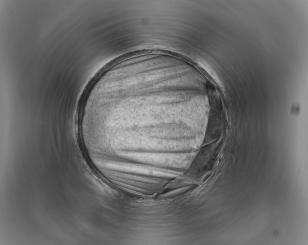 X0000090891076200708171701