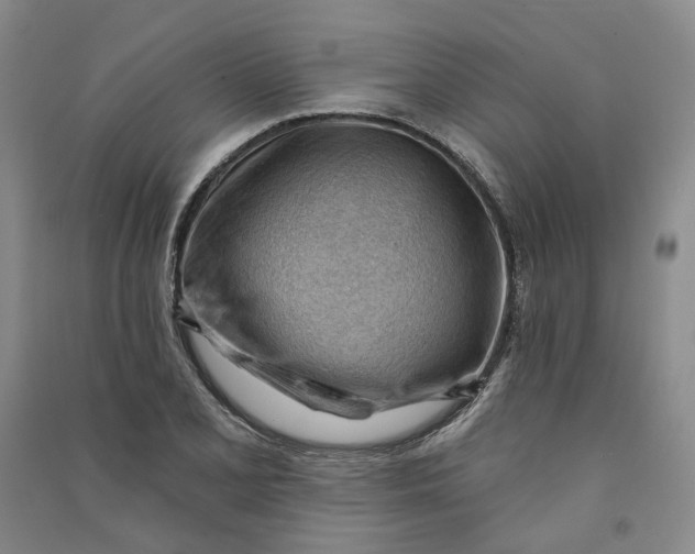 X0000090891077200708171701