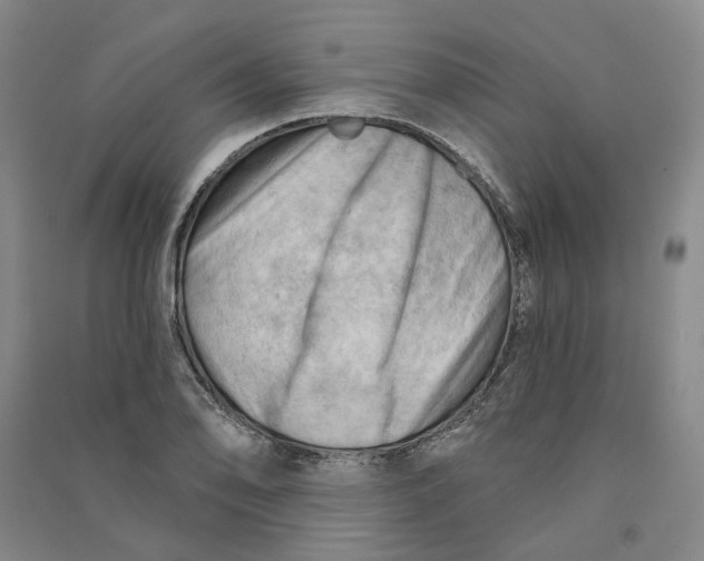 X0000090891078200708171701