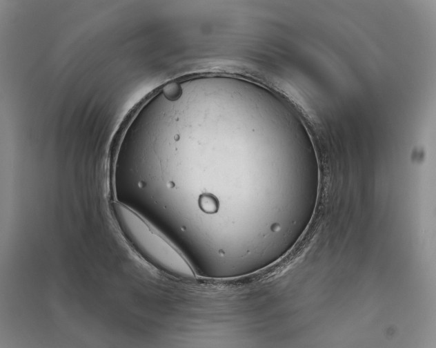 X0000090891079200708171701