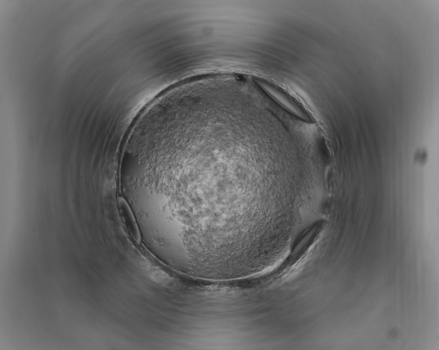 X0000090891081200708171701