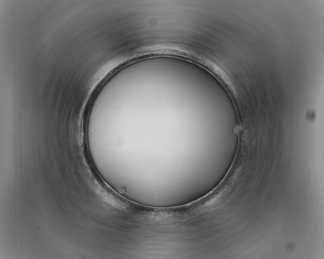 X0000090891082200708171701