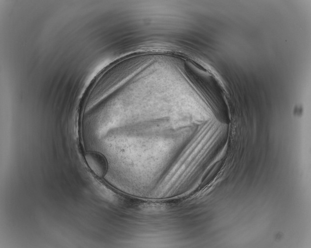 X0000090891083200708171701