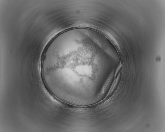 X0000090891084200708171701