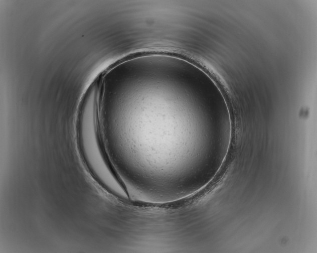 X0000090891085200708171701