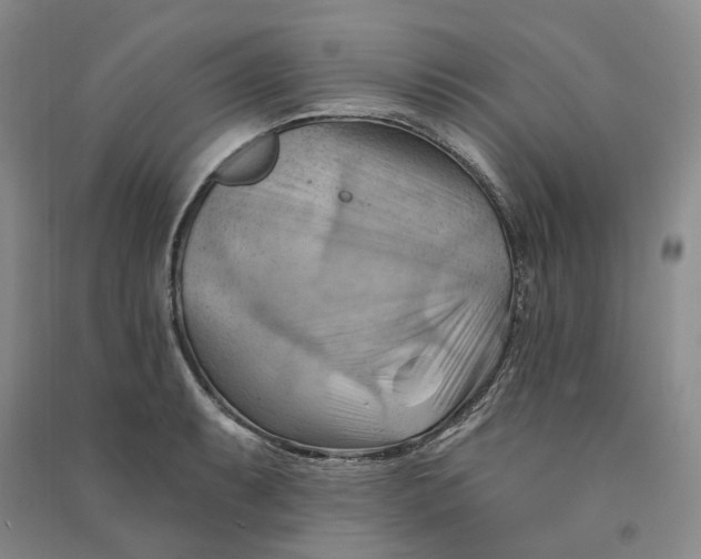 X0000090891087200708171700