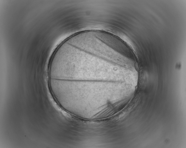 X0000090891088200708171700