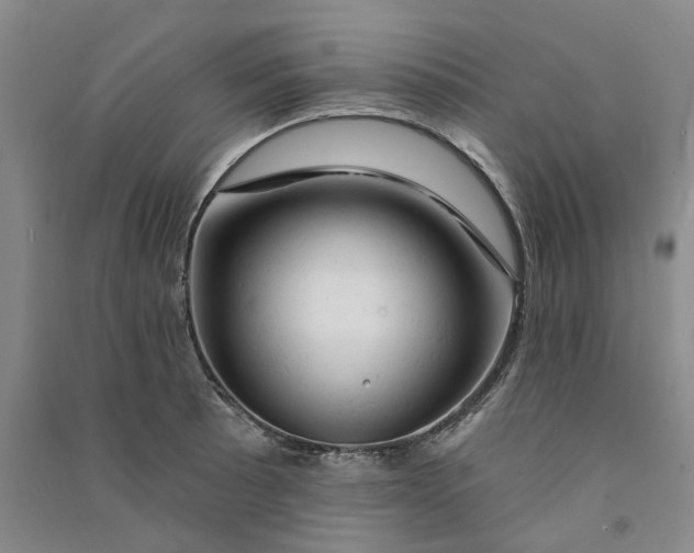 X0000090891089200708171700