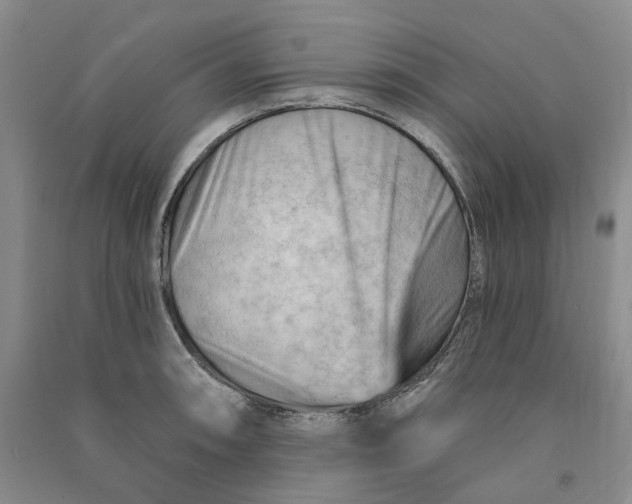 X0000090891090200708171700