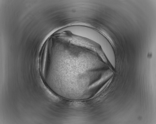 X0000090891092200708171700