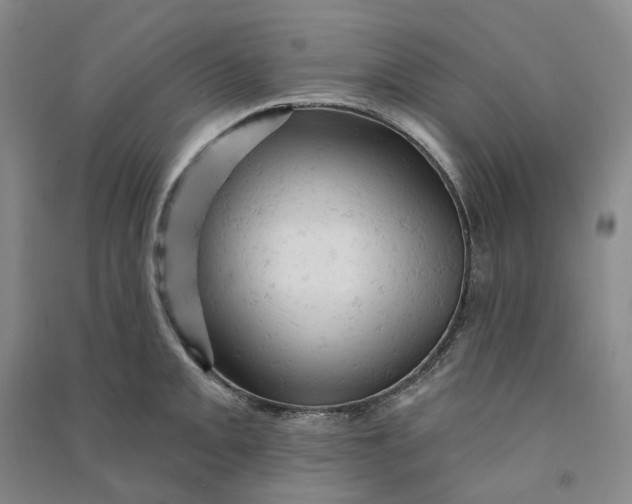 X0000090891093200708171700