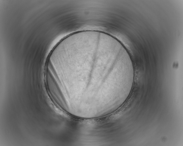 X0000090891094200708171700