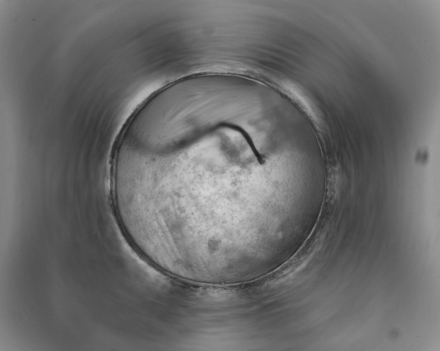 X0000090891095200708171700