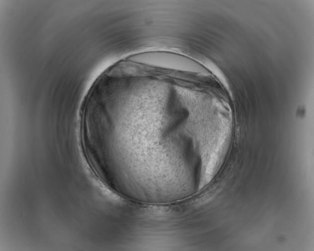 X0000090891096200708171700