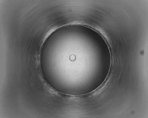 X0000090891097200708171700