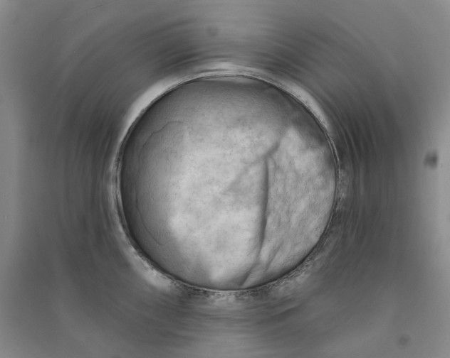 X0000090891098200708171700