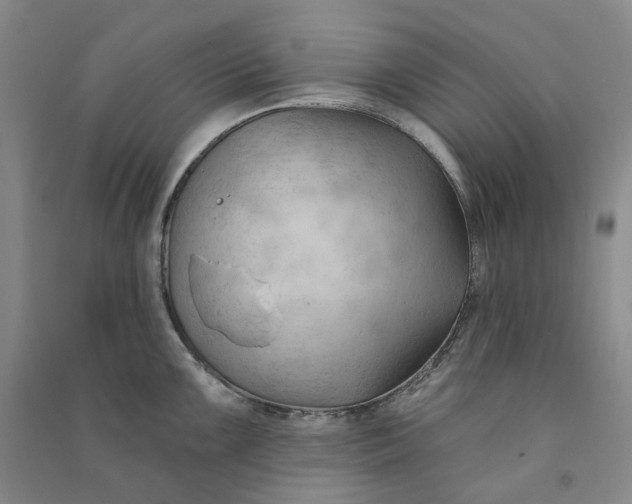 X0000090891099200708171700