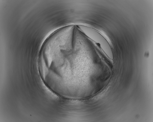 X0000090891100200708171700